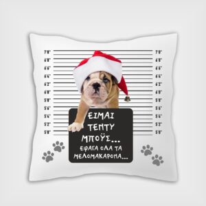 Site_Products Χριστουγεννιάτικο μαξιλάρι