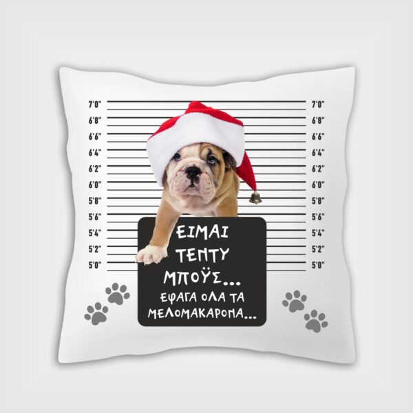 Site_Products Χριστουγεννιάτικο μαξιλάρι